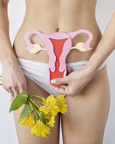 Nymphoplastie en Tunisie, réduction des petites lèvres