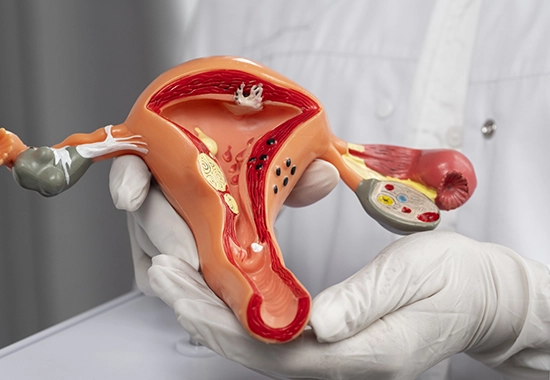 Indications et Causes du Relâchement Vaginal