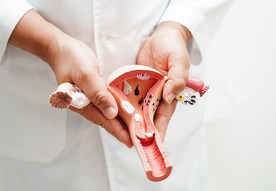 Risques et Précautions