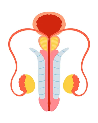 Liposuction 3